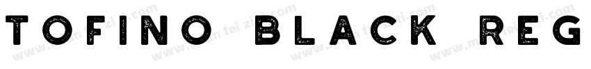 Tofino Black Regular字体转换